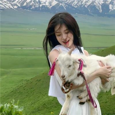 寻找酷巴熊 在线观看